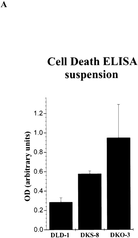 Targeted Disruption Of The Activated K Ras Allele In Cells Derived From