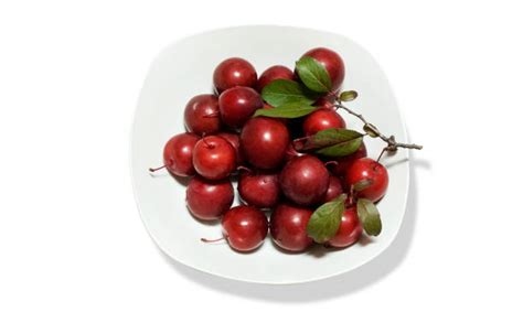 220+ Afghanistan Desserts Stock Photos, Pictures & Royalty-Free Images - iStock