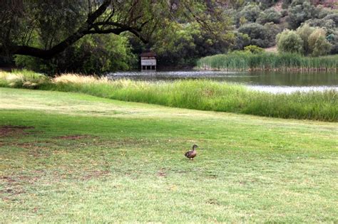 Bloemfonteins Botanical Garden Perfect for Photo Moments