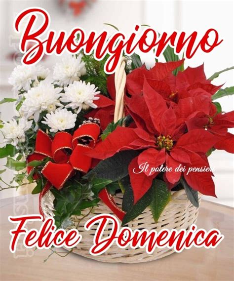 10 Immaginette Per Buona Domenica Natalizia Buongiorno Gratis