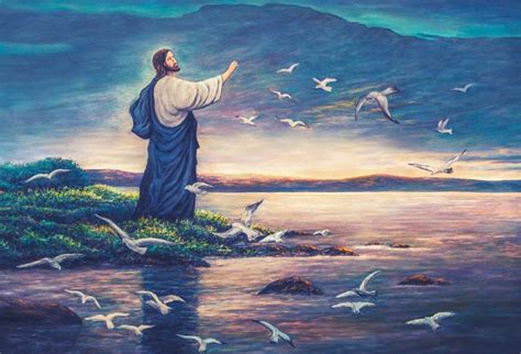 Wednesday Of Trinity 15 What Did Jesus Ordain The Birds To Teach