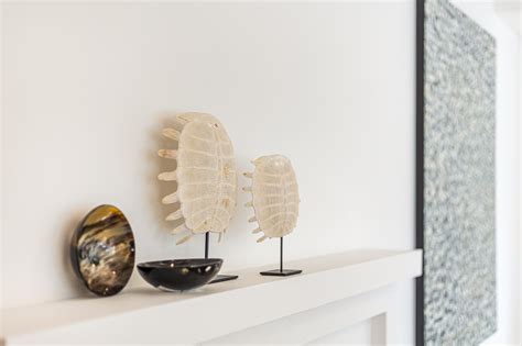 Empire Road, Epsom | drawphoto | Realestate Photography & Videography