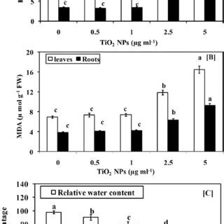 Impact Of TiO 2 NPs On Lipid Peroxidation H 2 O 2 And Relative Water