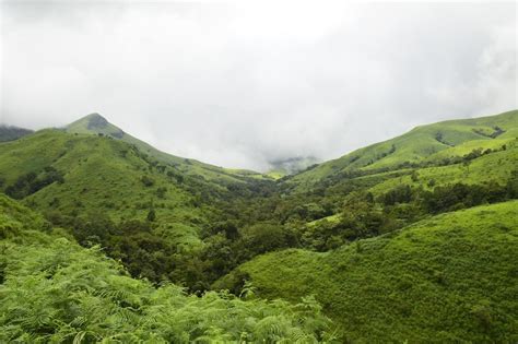 Trek to KudreMukh Peak - Tripoto