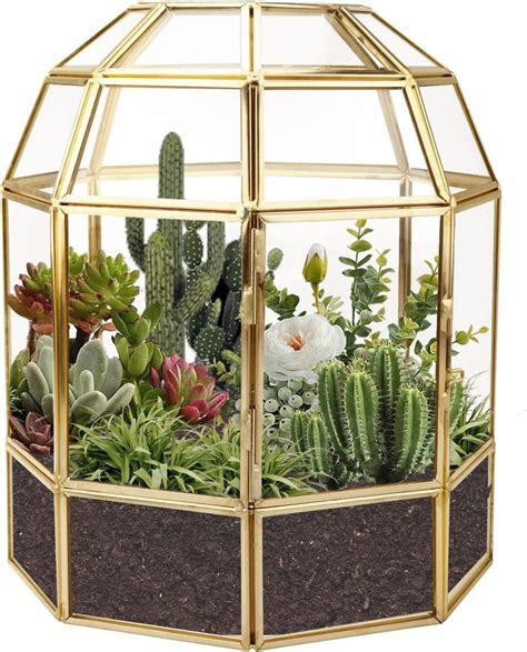 Belle Vous Cm Geometric Glass Terrarium Planter Tabletop Pentagon