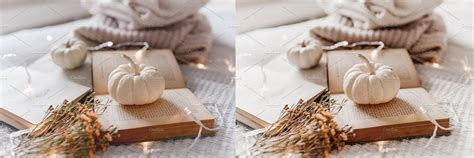 X Lightroom Minimalistic Nude MasterBundles