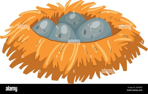 Four Gray Eggs In Bird Nest Stock Vector Image Art Alamy