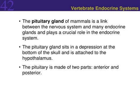 Ppt Hormones And Their Actions Powerpoint Presentation Id1183080