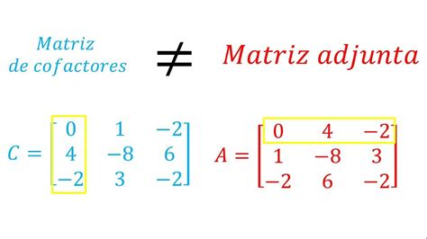 Matriz Adjunta En Lgebra Lineal Qu Es Y C Mo Se Calcula Cfn