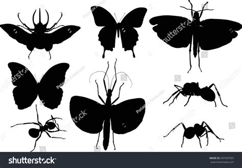 Illustration Insect Silhouettes Isolated On White Stock Vector Royalty