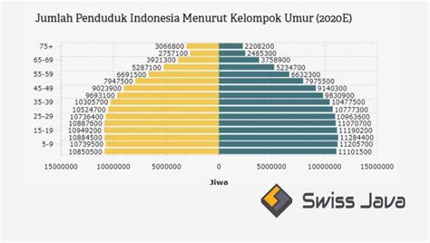 Piramida Penduduk Indonesia 2020 2021 Terbaru Terlengkap