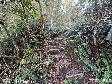 【行程規劃】苗栗泰安溫泉。鳥嘴山。水雲吊橋。虎山。享受自然芬多精 1817box部落格