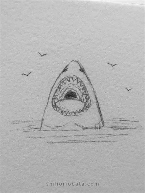 40 Cool Things To Draw In Your Sketchbook Shark Drawing