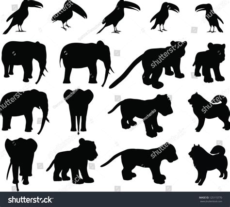 Zoo Animals Collection Set Vector Silhouettes Stock Vector (Royalty ...