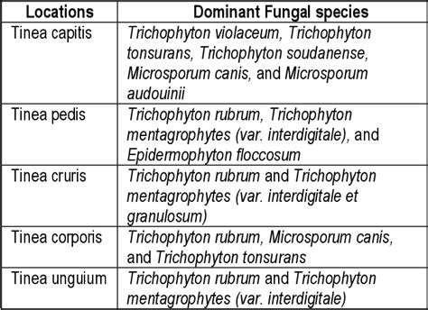 Diversity Of Fungi As Human Pathogen Semantic Scholar