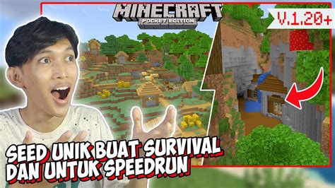 Seed Village Besar Mansion Aneh Cocok Untuk Survival Spawn Di Atas