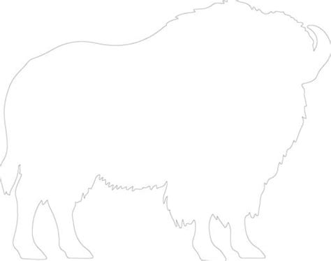 Buffalo Outline Vector Art, Icons, and Graphics for Free Download