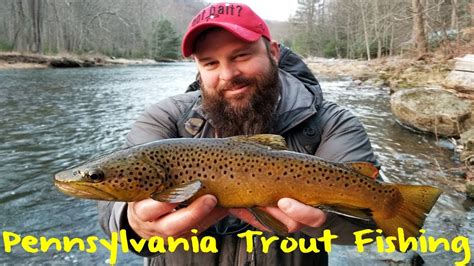 Pennsylvania Trout Fishing YouTube