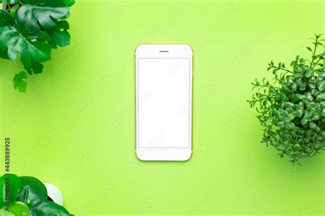 Smartphone mobile phone with white screen and green plant on green background Stock Photo ...