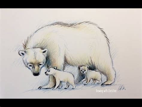 Polar Bear Cub Drawing at PaintingValley.com | Explore collection of Polar Bear Cub Drawing