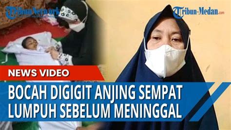 Sikap Aneh MRA 10 Bocah Meninggal Digigit Anjing Tetangga Ibu