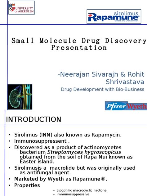 Small Molecule Drug Discovery Presentation Pdf Molecular Biology Biology