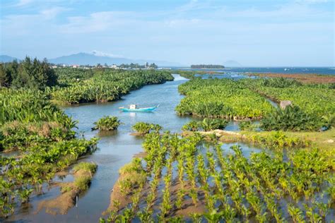 1000+ Rio Amazonas fotos · Pexels · Fotos profissionais gratuitas