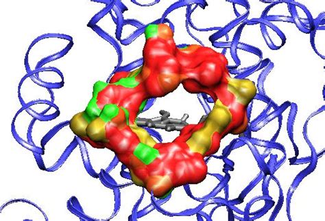 The Lignin Peroxidase