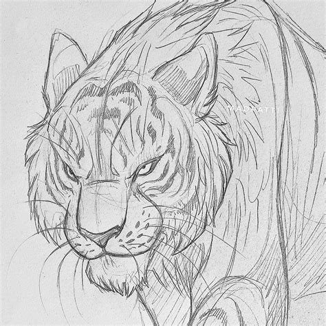 More big cat sketches + the ones from yesterday :) | Esboços de animais, Desenhos de animais a ...