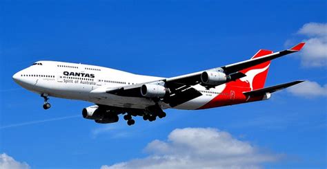 Qantas Cabin Crew Requirements Cabin Crew Wings