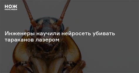 Инженеры научили нейросеть убивать тараканов лазером — Нож