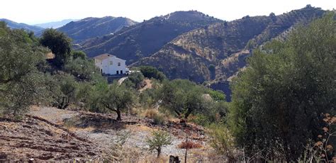 Almogia Country House For Sale Best Properties Andalucia