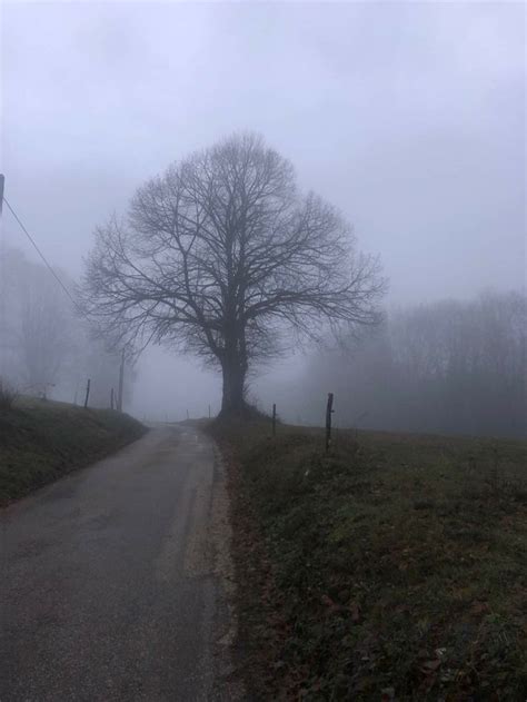 Épinglé par Gillian Robinson sur Fog Photographie Les saisons