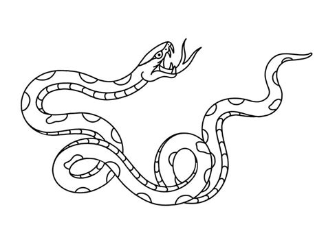 Vintage Snake Tattoo Design