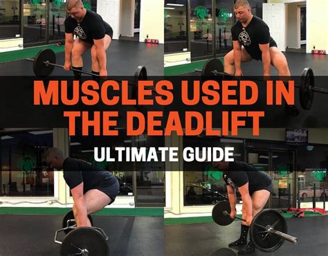 MUSCLES_USED_IN_THE_DEADLIFT (1) | PowerliftingTechnique.com