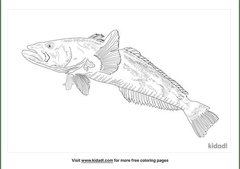 Yellowtail Flounder Coloring Page Free Sea Coloring Page Kidadl