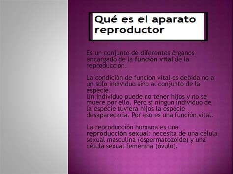 El Aparato Reproductor Ppt