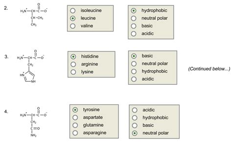 Solved Given The Following Four Amino Acids At PH 7 4 Chegg