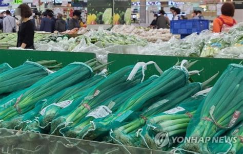 상반기 농축수산물 물가 30년來 최고금파·금사과·금달걀 한국경제