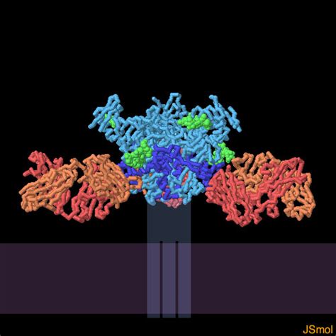 PDB 101 Molecule Of The Month Ebola Virus Proteins