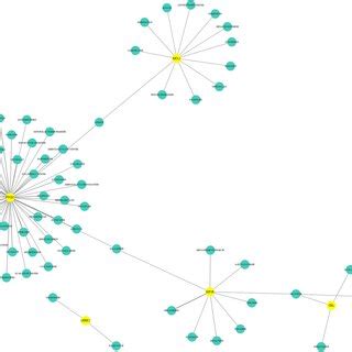 The Drug Gene Interactions Network Constructed In Cytoscape Yellow