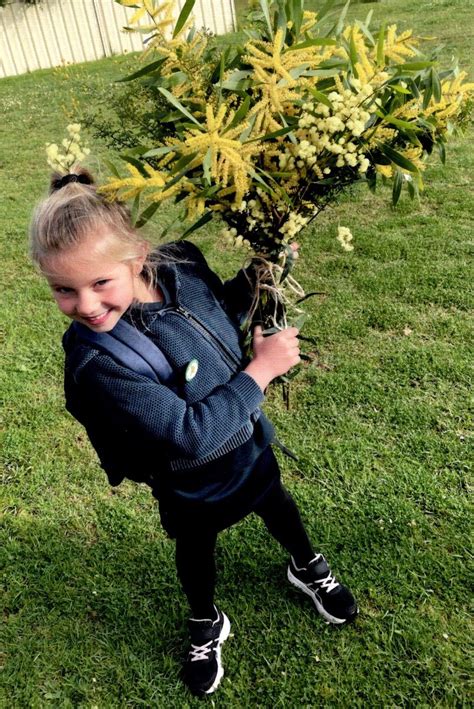 Why Do We Celebrate National Wattle Day Wattle Day