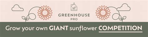 Greenhouse Sales Installation And Repair Greenhouse Pro