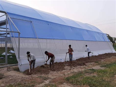 Polyester Modular Naturally Ventilated Greenhouse At Rs Square