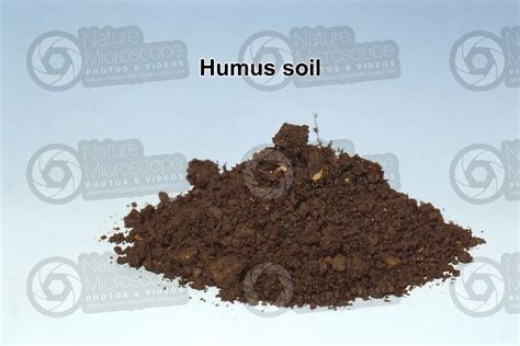 Humus soil - Types of soil structure - Types of soil structure - Rocks ...