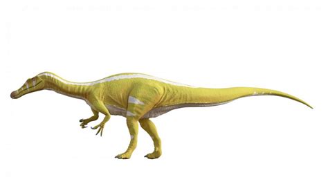 New dinosaur, a species of spinosaurid, discovered in Spain ...