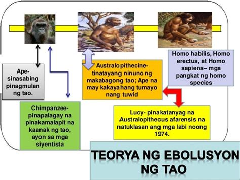 Ano Ang Tawag Sa Mga Sinaunang Taong Nandayuhan Sa Pilipinas Angmgablog ...