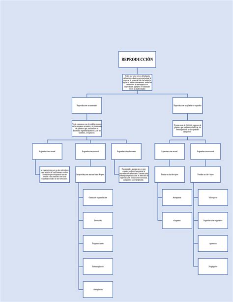 Mapa Conceptual De La Reproduccion Reproducci N Todos Los Seres Vivos