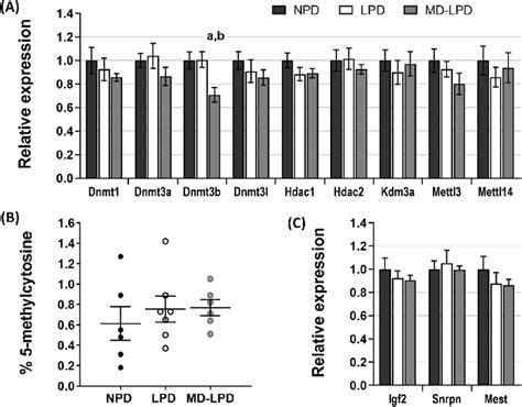 The Placental Expression Of Genes Involved In Epigenetic Regulation A