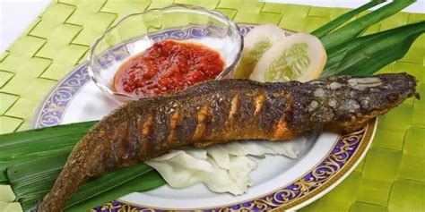 Begini Ya Kolesterol Ikan Lele Yang Terbaik Tips Kesehatan Terbaru